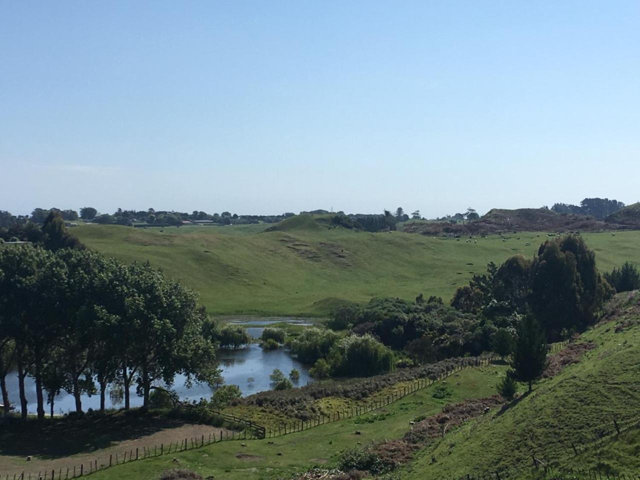 Little House On The Hill Villa Whanganui Exteriör bild